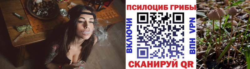 где купить наркоту  Шелехов  Псилоцибиновые грибы ЛСД 